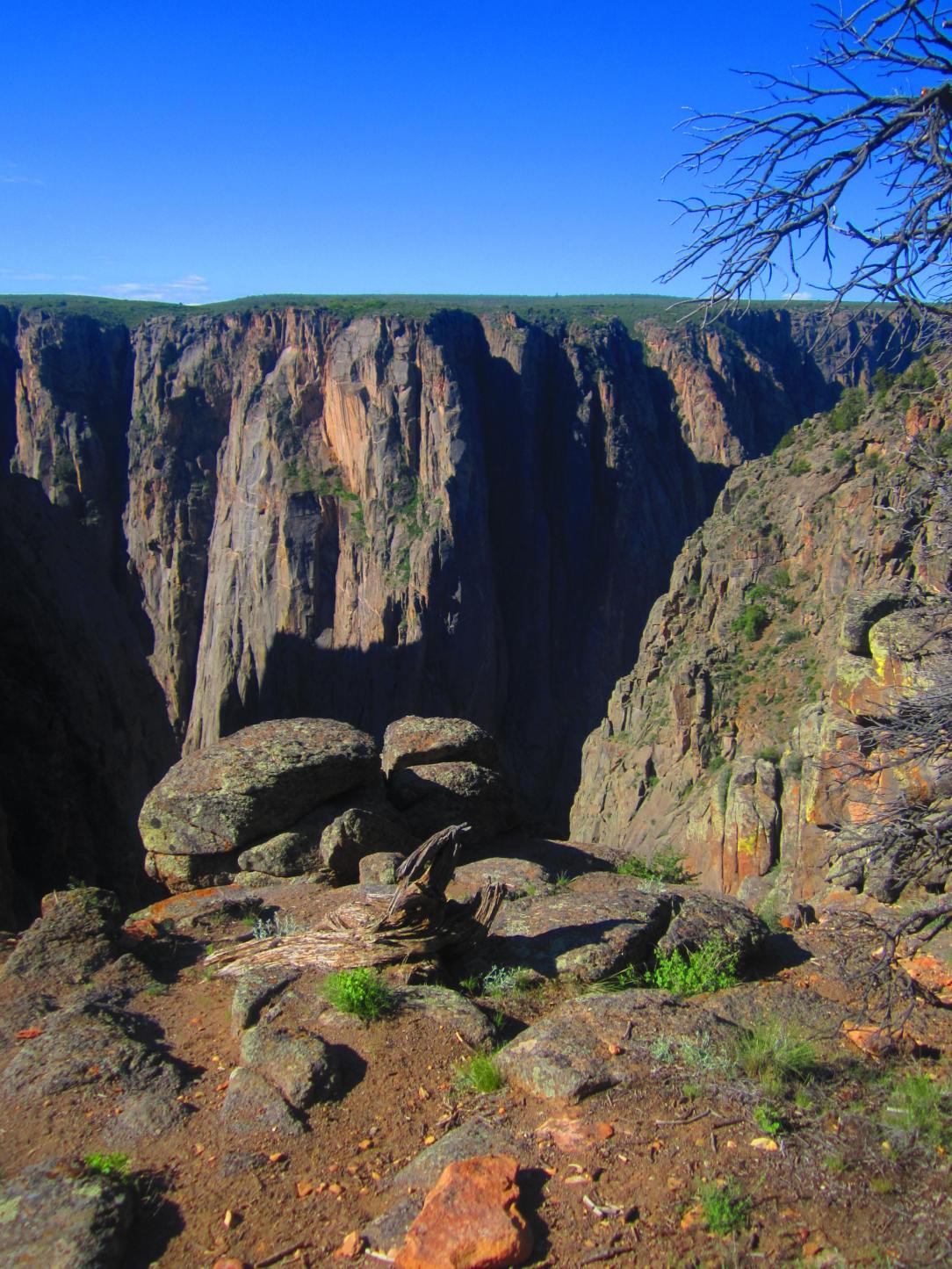 View from Exclamation Point. Sure you can go closer, but I wasn't planning on falling in!