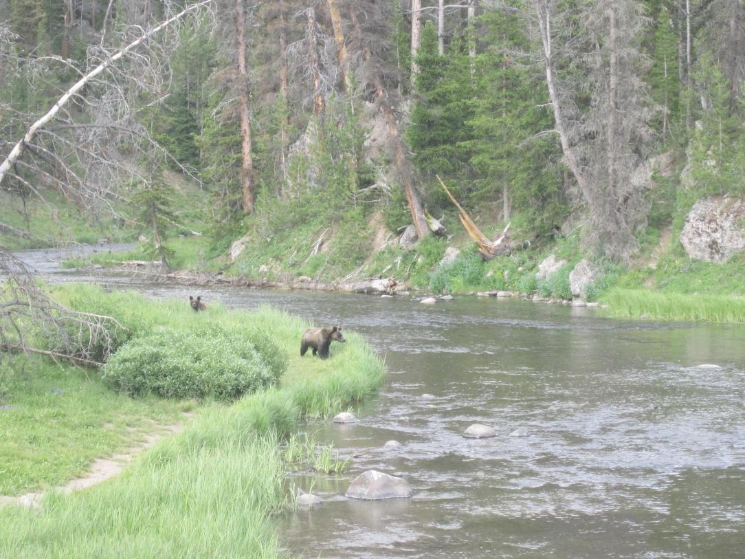 Who are those little buggers?