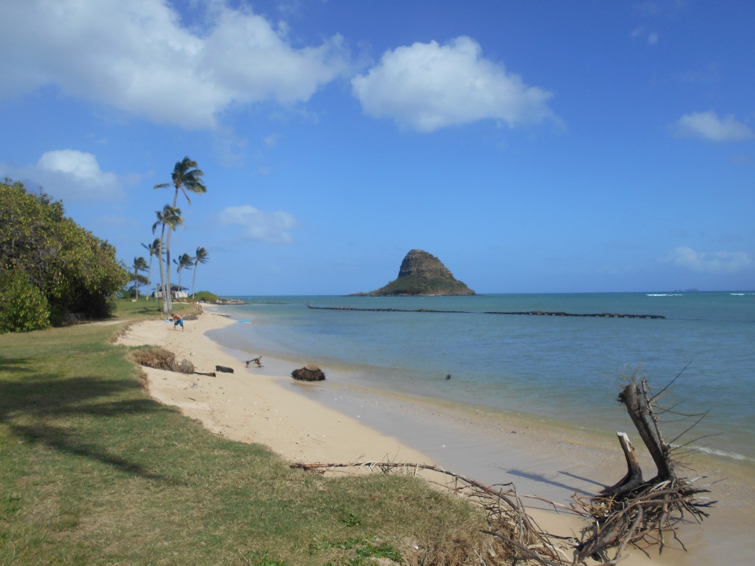 Kualoa Beach Park 