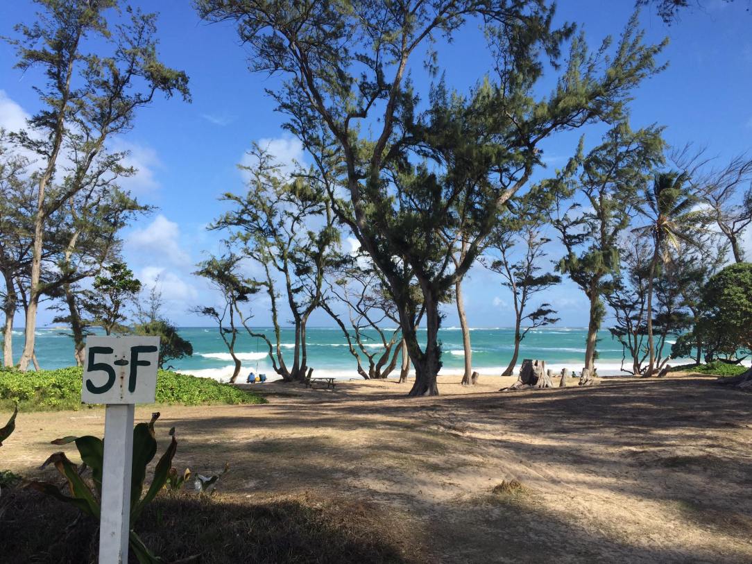 22459407_10104919778052449_1272527106515027234_o