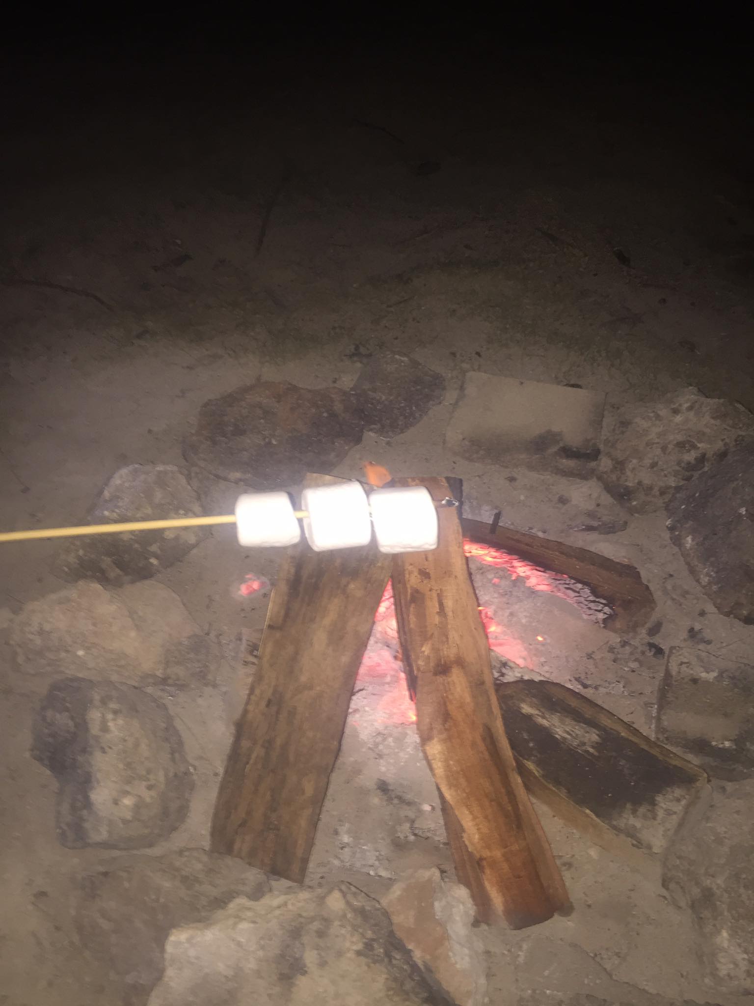 22467702_10104919778860829_745595849451498789_o